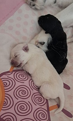 Trop dur la vie