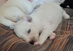 J'ouvre deja les yeux